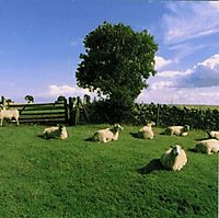 The KLF: Chill Out