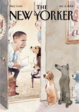 New Yorker