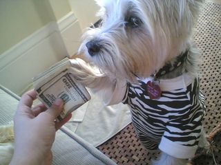 Maddy's new money